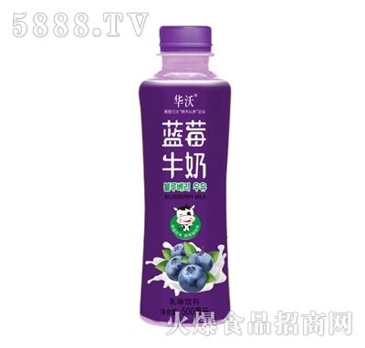 A{ݮţ500ml