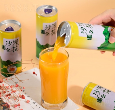(ni)ɹɳĮ֮ɳ֭(gu)a(chn)b֭240ml