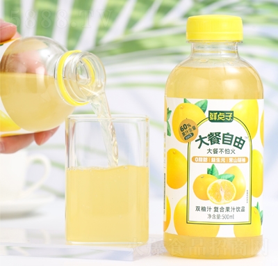 rcӴp֭(f)Ϲ֭500ml