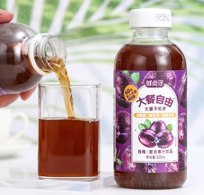 rc(din)Ӵ÷֭(f)Ϲ֭500ml