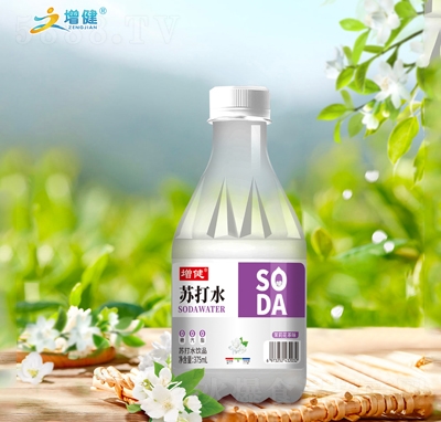 SODAKˮƷ375ml򻨲ζ
