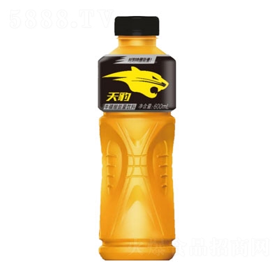 600ml
