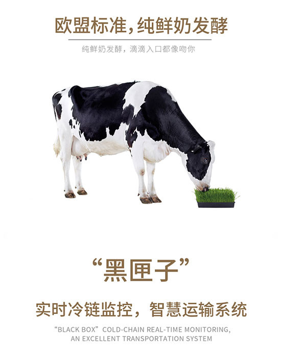 未標題-5 未標題-5