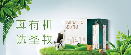 圣牧有機(jī)純牛奶禮盒 圣牧有機(jī)純牛奶禮盒