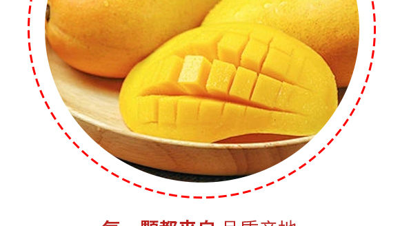 河南增健綠色飲品有限公司-芒果產(chǎn)品畫(huà)冊(cè)1230_08 河南增健綠色飲品有限公司-芒果產(chǎn)品畫(huà)冊(cè)1230_08